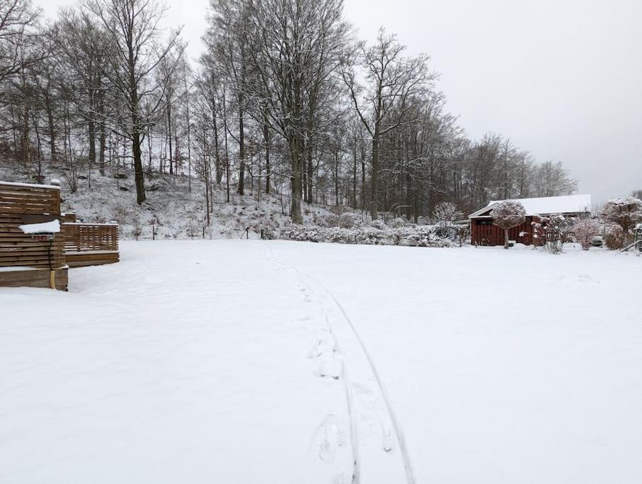Beautiful And Cosy House Near The Lake Olofstrom Экстерьер фото
