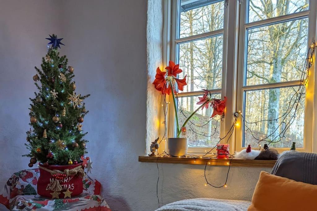 Beautiful And Cosy House Near The Lake Olofstrom Экстерьер фото